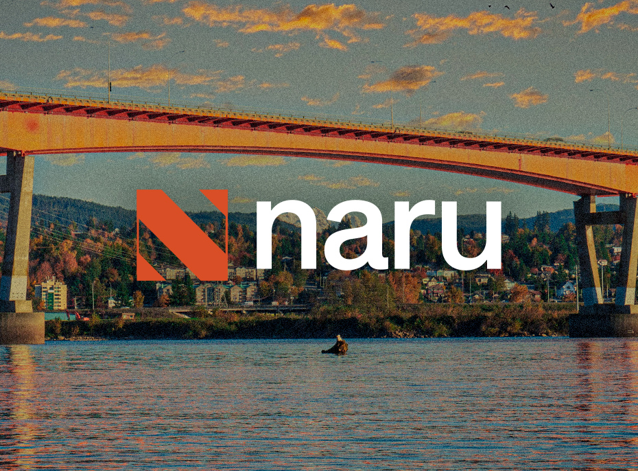 The Landing Gap — Why We Started Naru Landing
