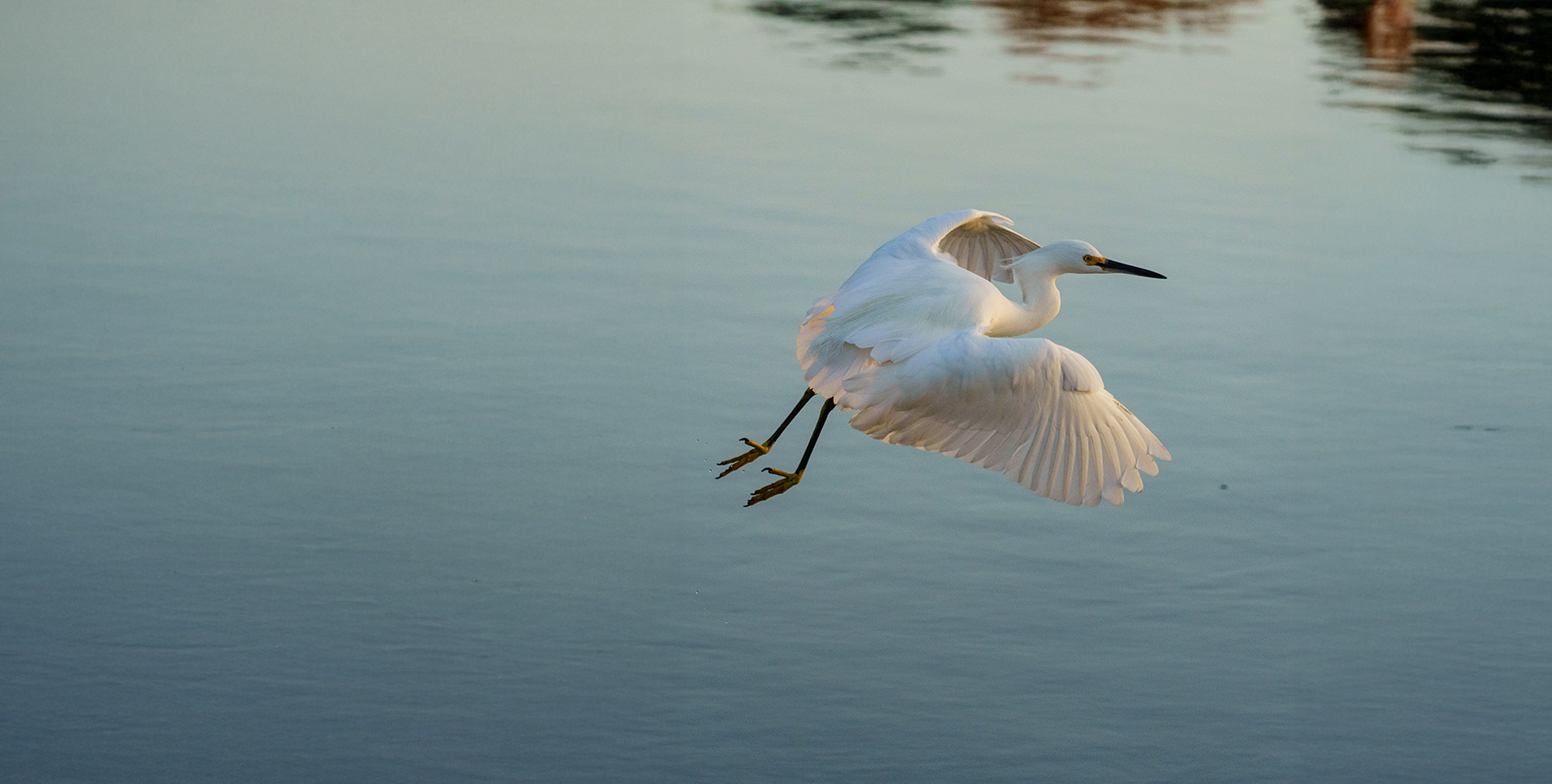 Naru Landing services